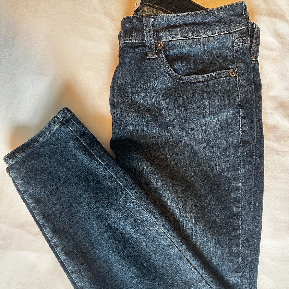 Pistola Dark Wash Skinny Jeans, Size 31P